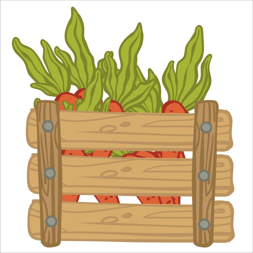 Carrots with leaves in wooden rustic basket vector