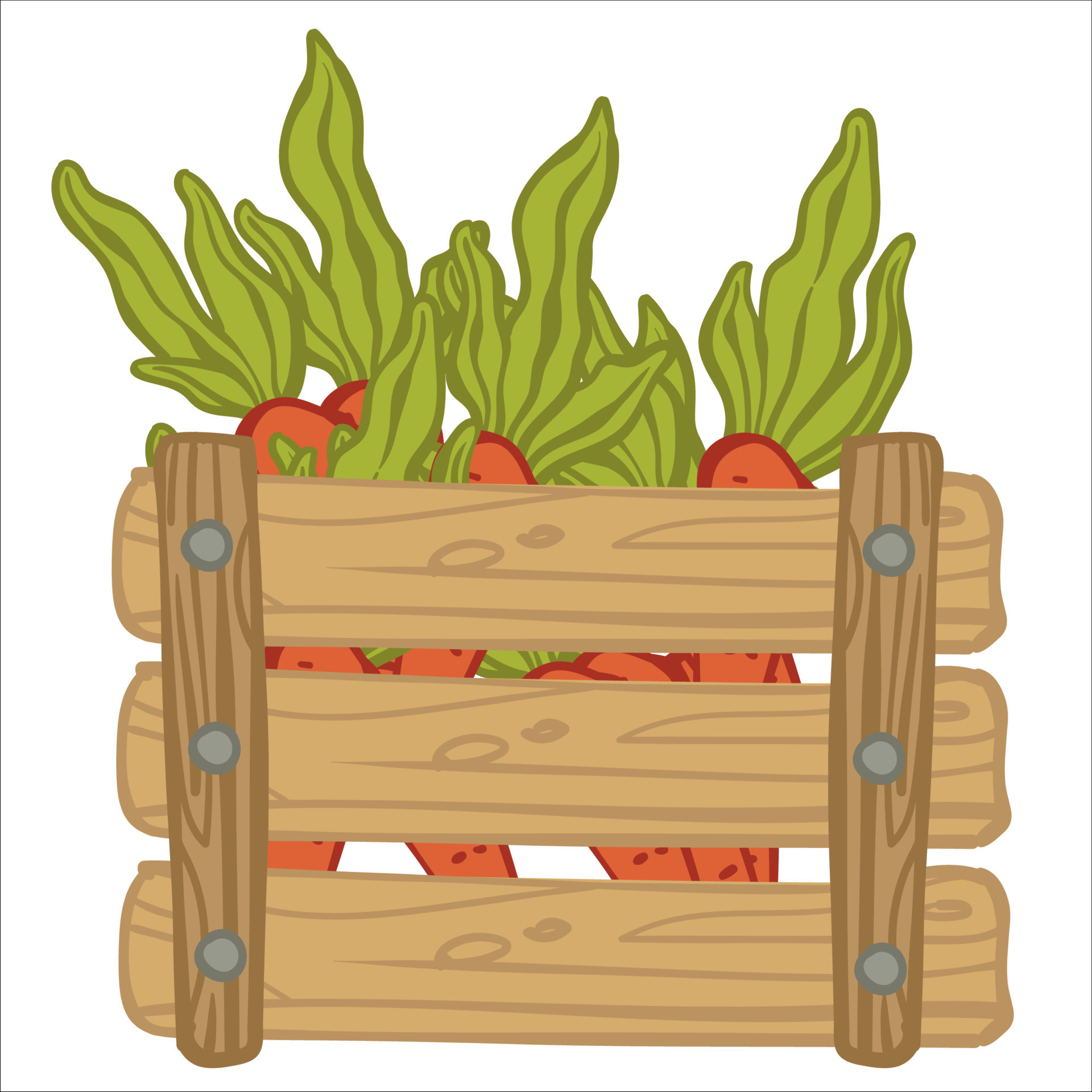 Carrots with leaves in wooden rustic basket vector 19498685 Vector Art