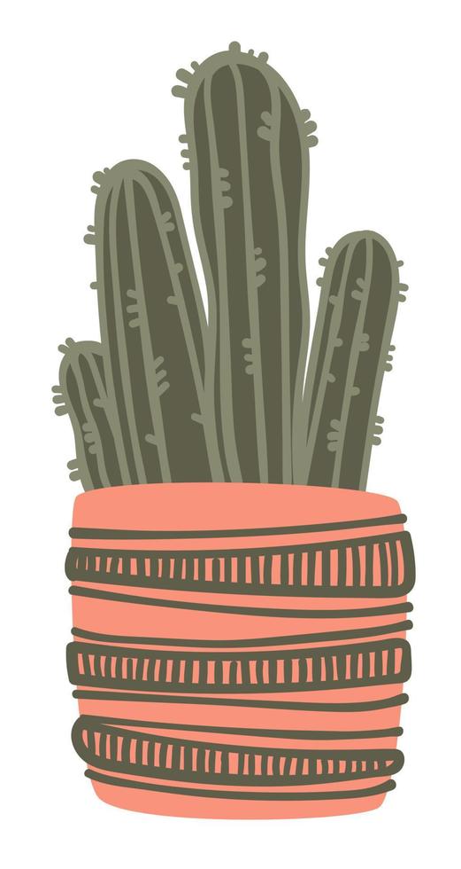 Cactus plant in pot, houseplant home decoration vector