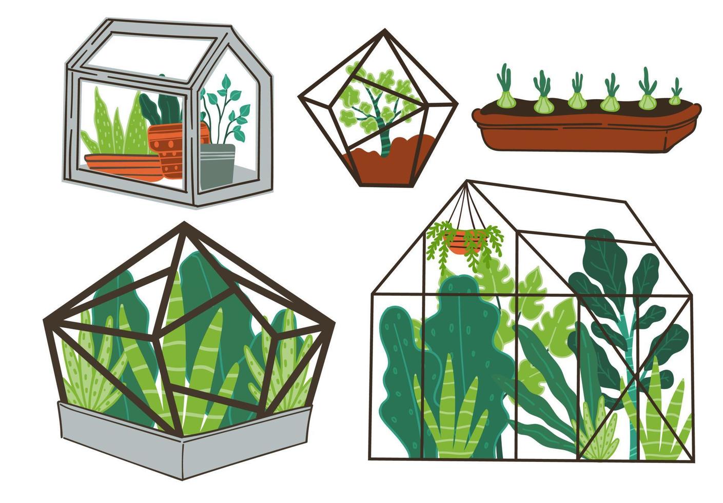 Greenhouse with plants, orangery with flowers vector