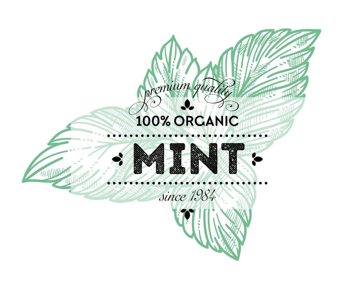 Mint leaves organic product 100 percent quality vector