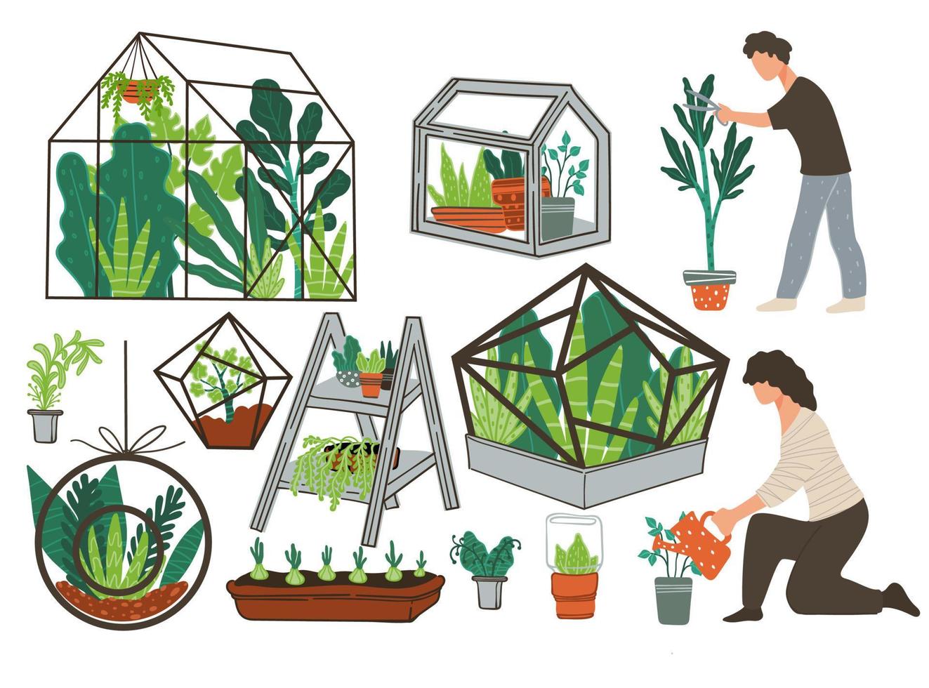 Greenhouse plants, people watering potted botany vector