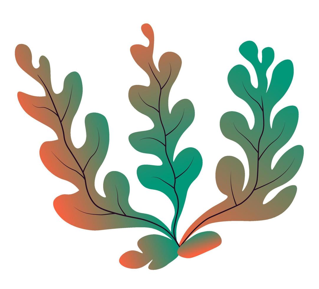 Marine botany and seaweed, decor for aquarium vector