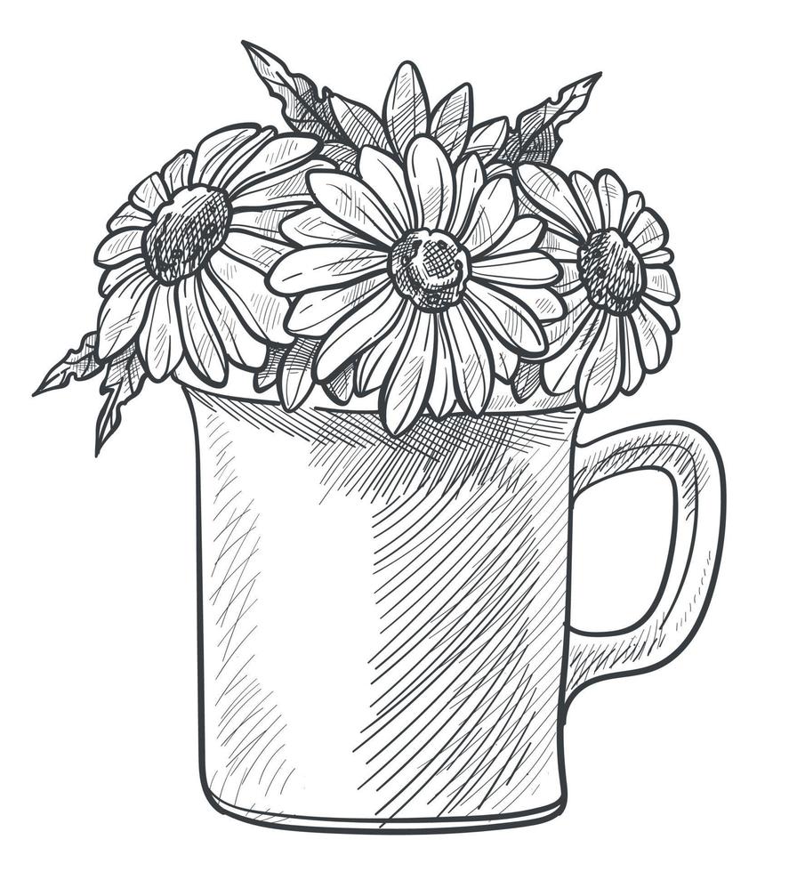 Camomiles in cup, rustic florist compositions vector