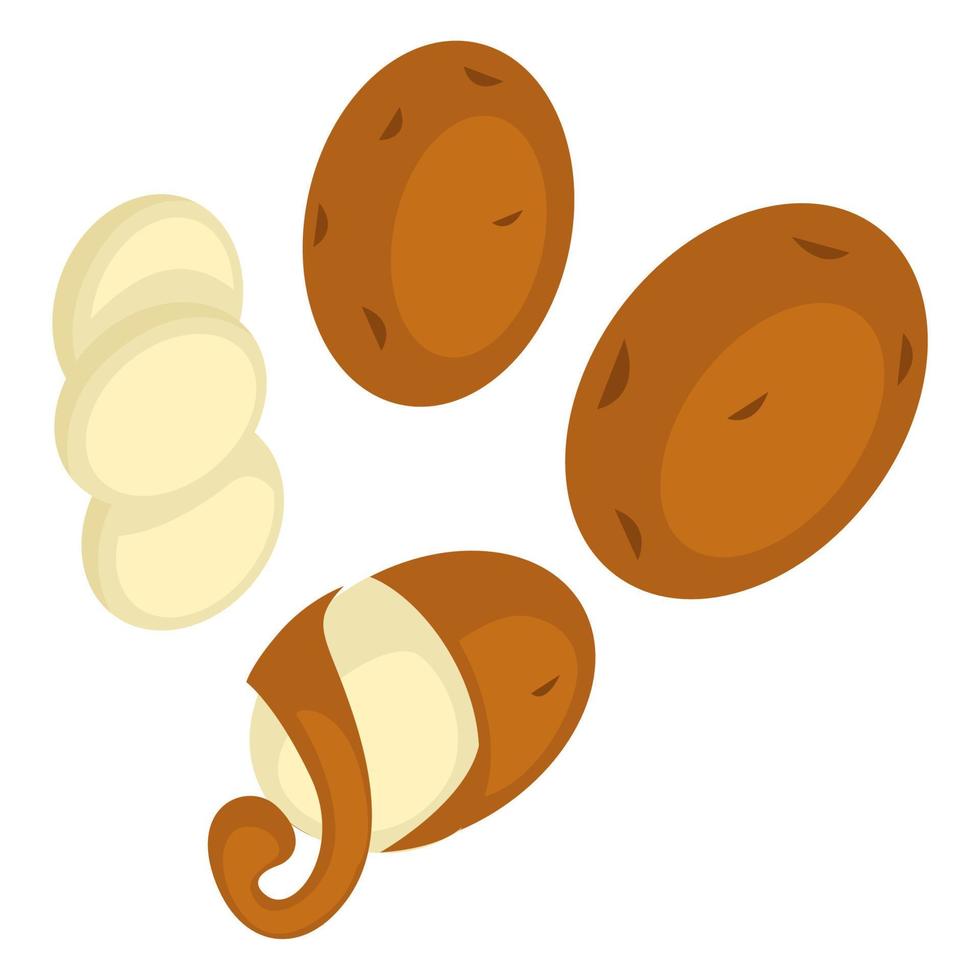 Potato peel or exotic fruit or vegetable vector