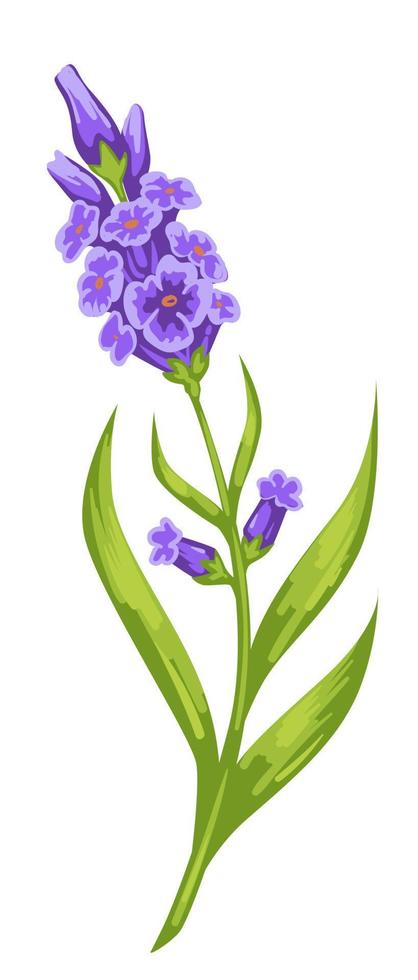 orquídeas violetas con tallo grueso y vector de follaje