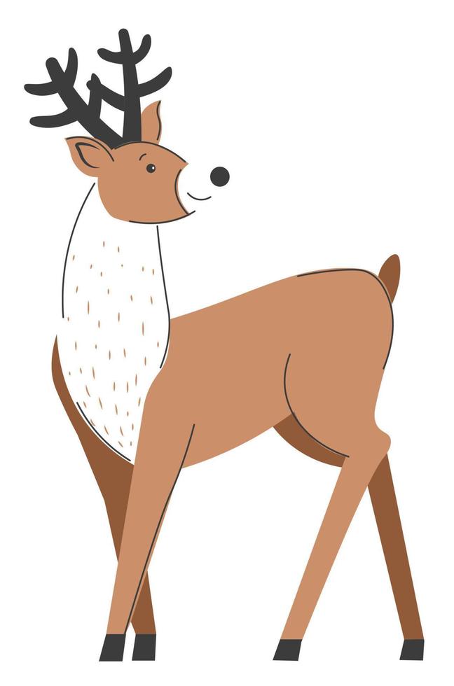 Reindeer with big horns, deer woodland animals vector
