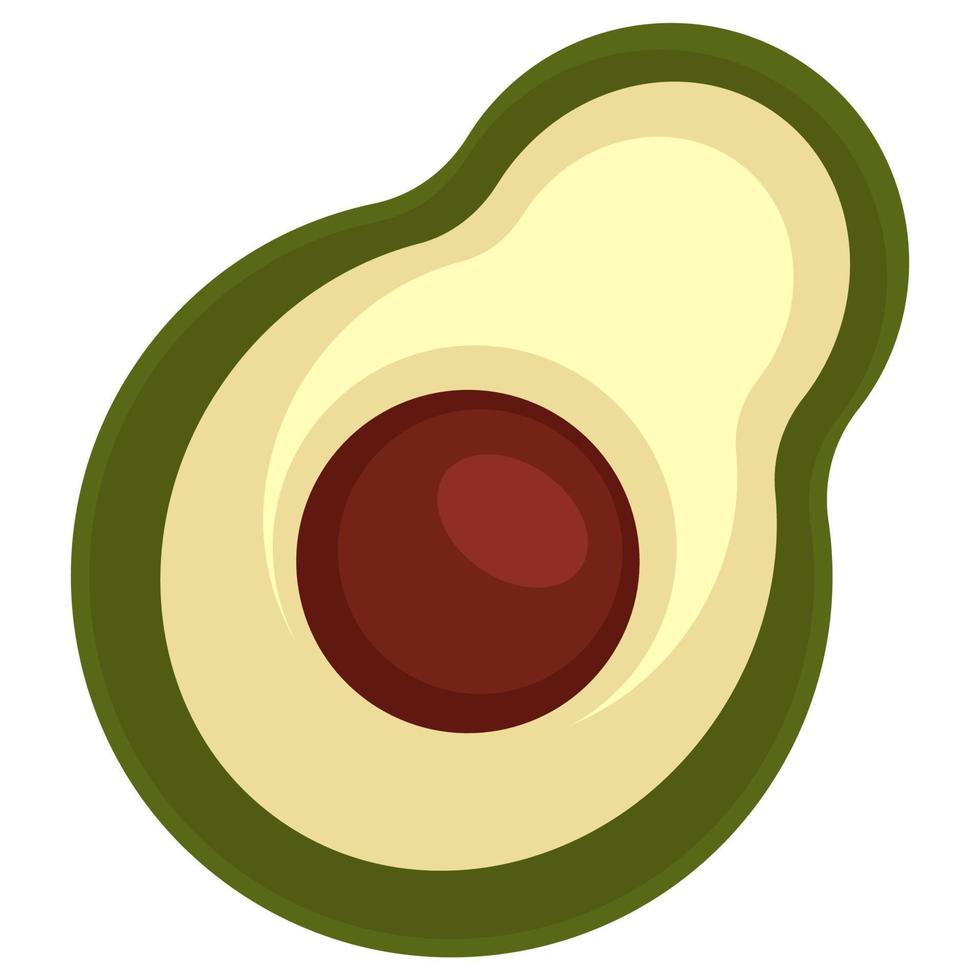 Avocado vegetable with seed, exotic vegetable vector