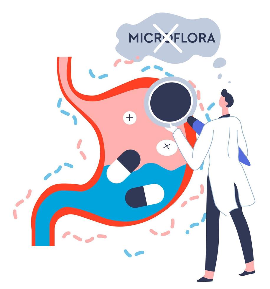 examen o chequeo del sistema digestivo y la microflora vector