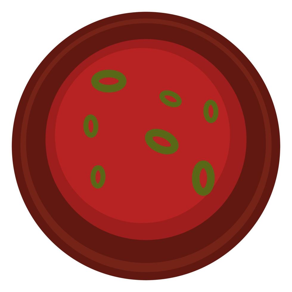 sopa de tomate con cebolla verde, vector de especias picantes