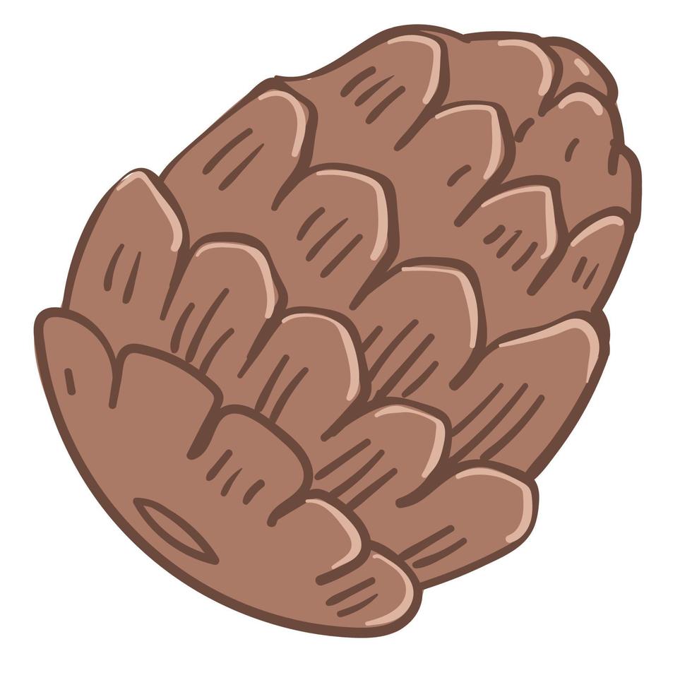 Pine tree cone, closed fir nut icon vector