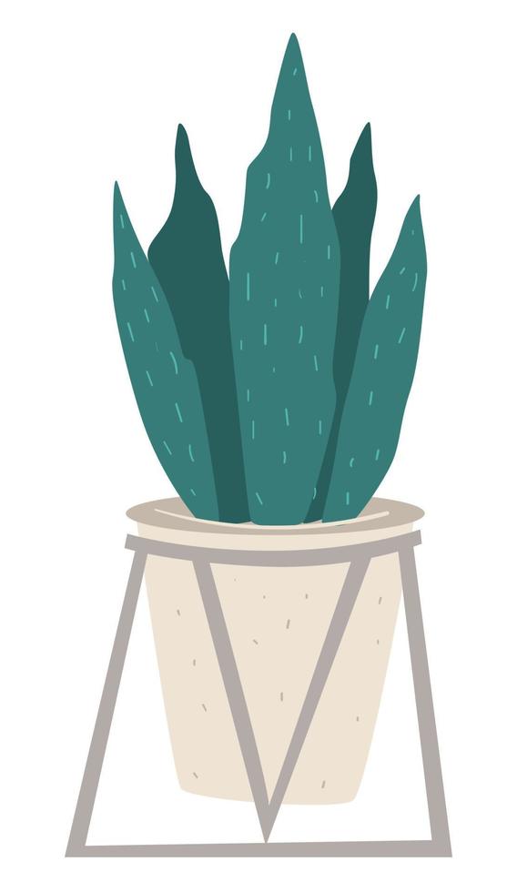 Houseplant in modern pot, office or home decor vector