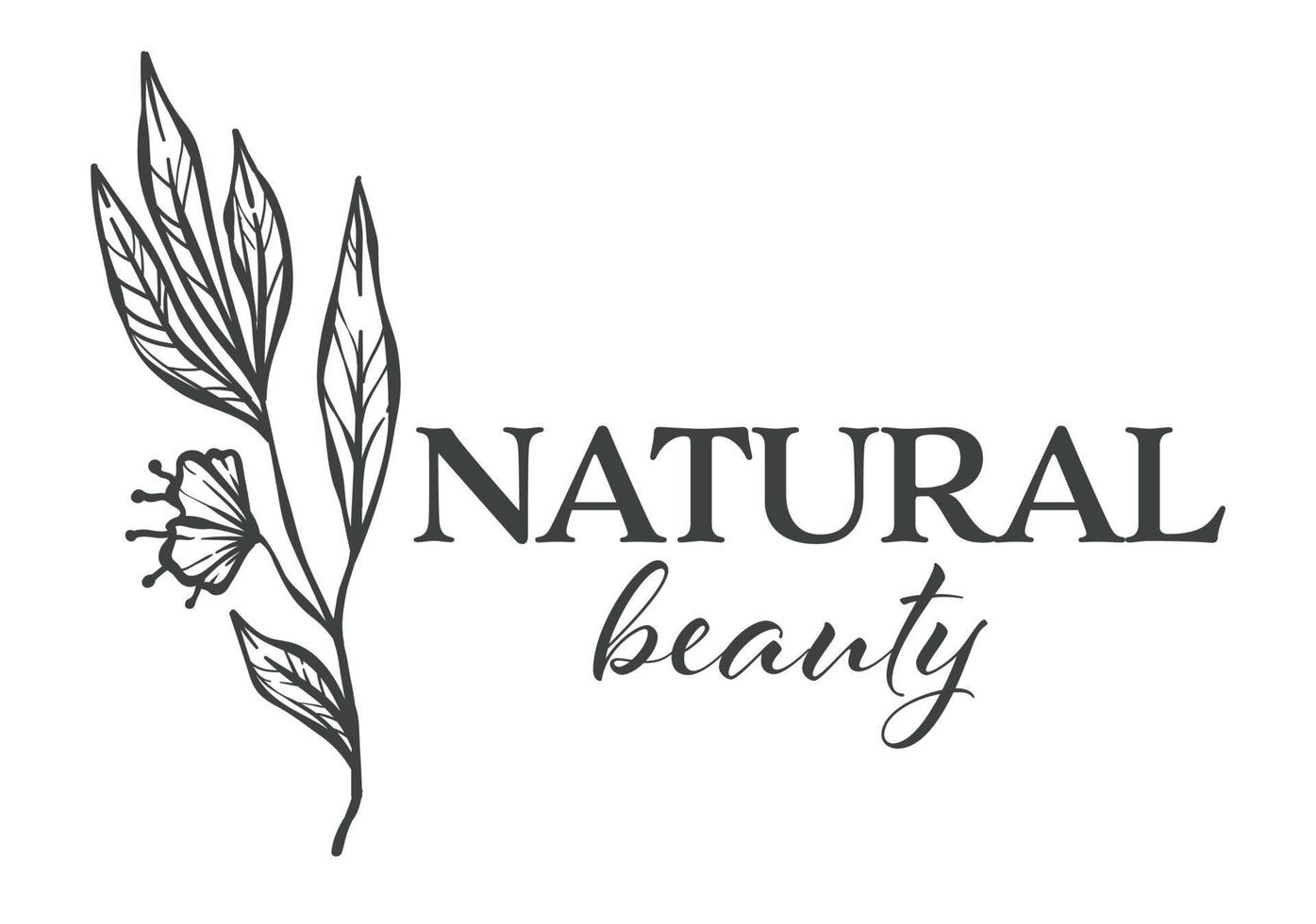 Natural beauty florist shop assortment monochrome sketch outline vector