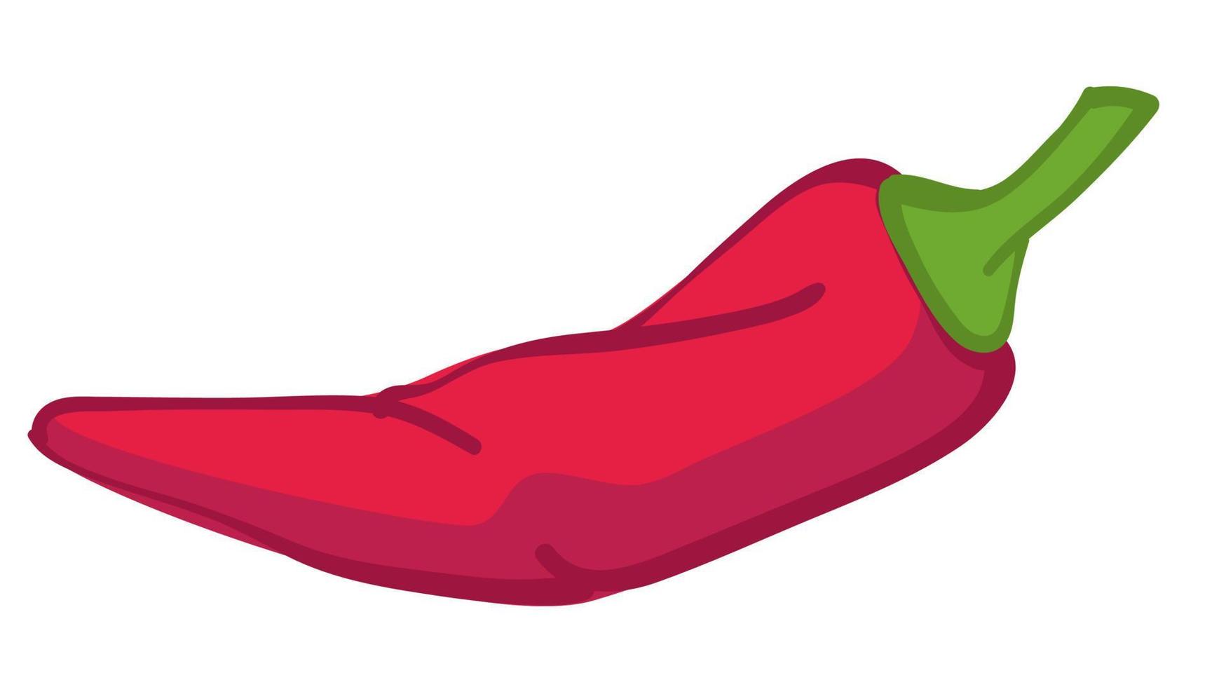 Hot chili pepper, mexican cayenne ingredient for cooking vector