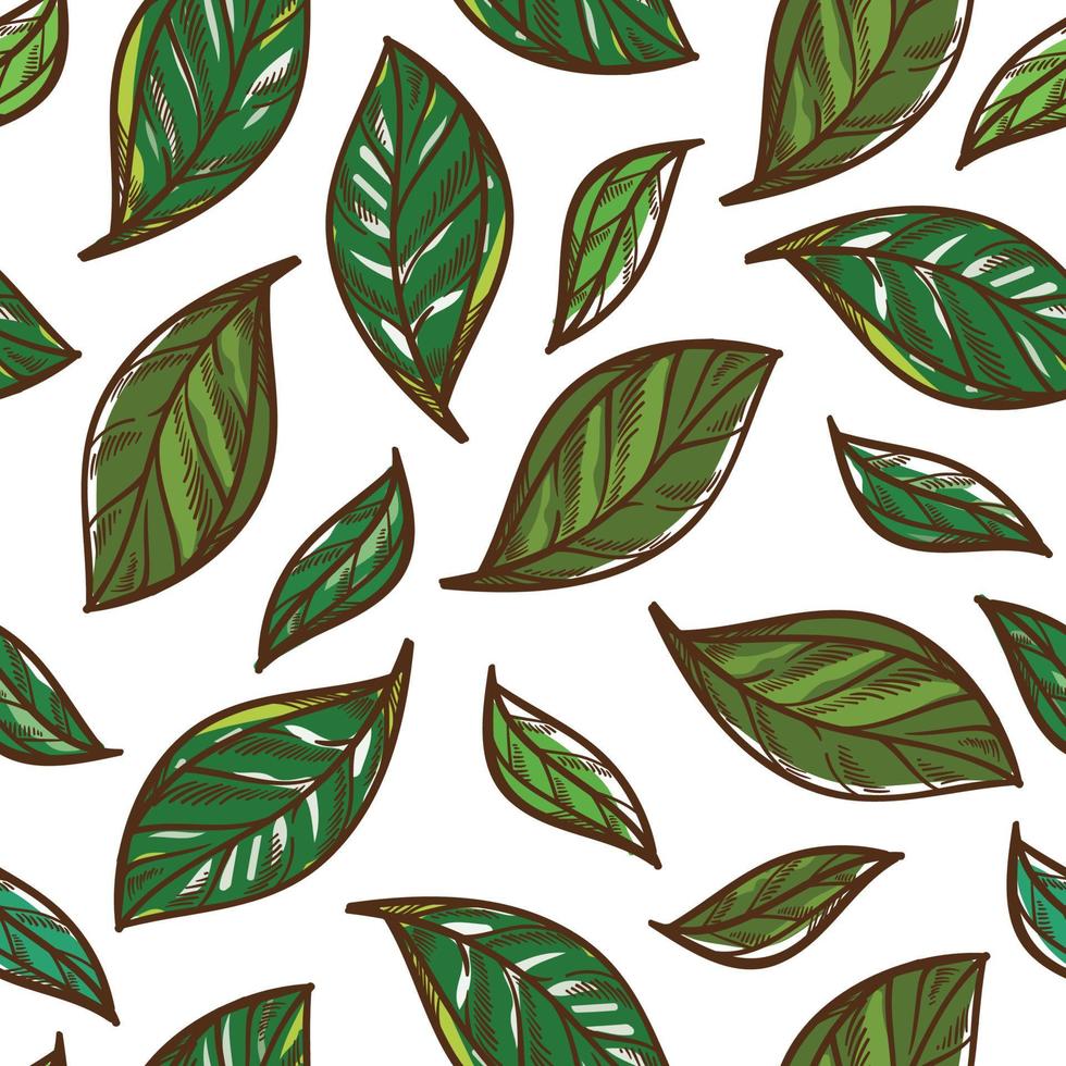 Mint leaves spices and herbs for cooking seamless pattern vector