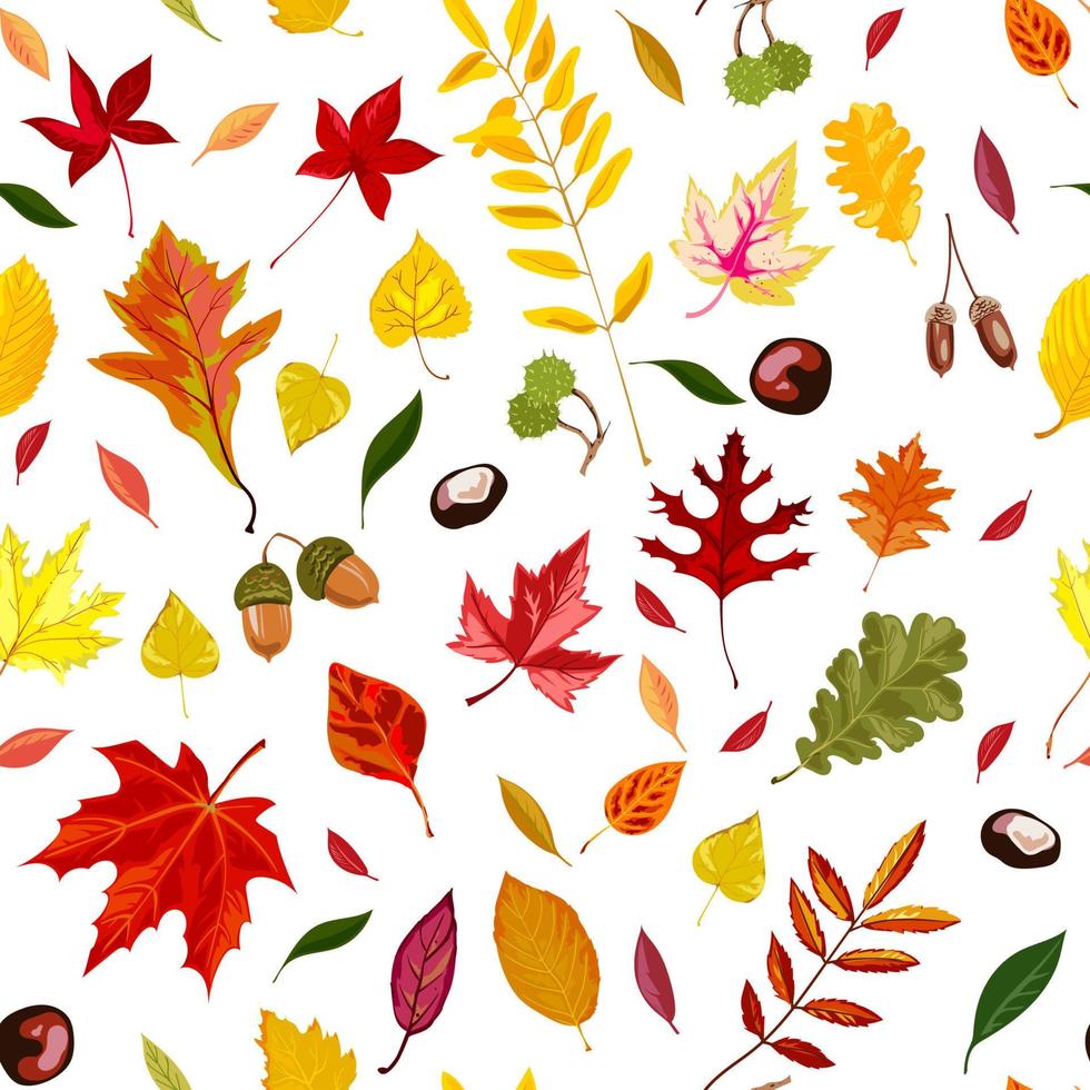 Autumn leaves, acorns and chestnut seamless pattern vector