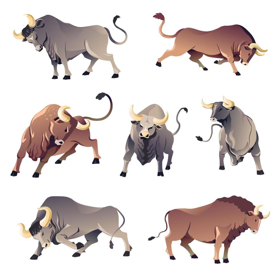 Bulls or buffalo, aggressive wild animals, ox corrida vector