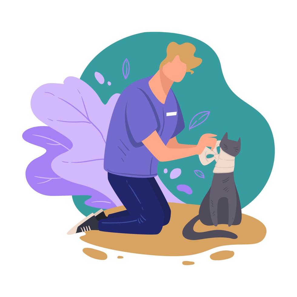 Veterinarian caring for ill cat using stretching band vector