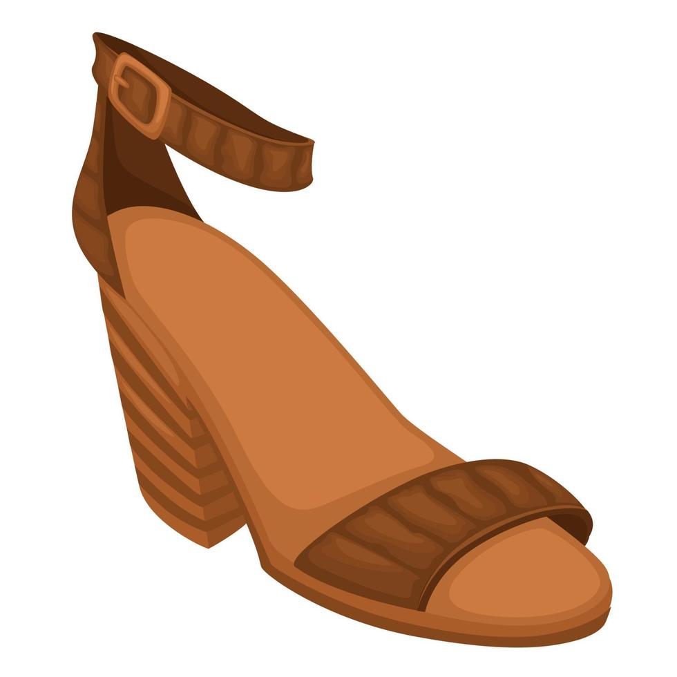 Fashionable women shoes, sandals for female, fashion and trends vector