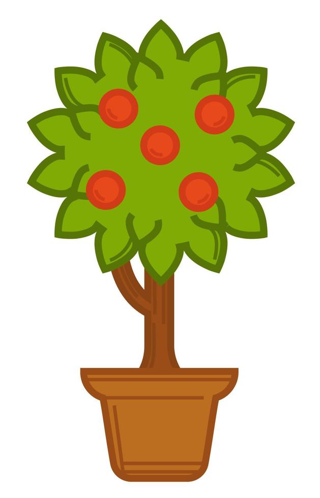 Plant with berries, flower or bush in pot vector