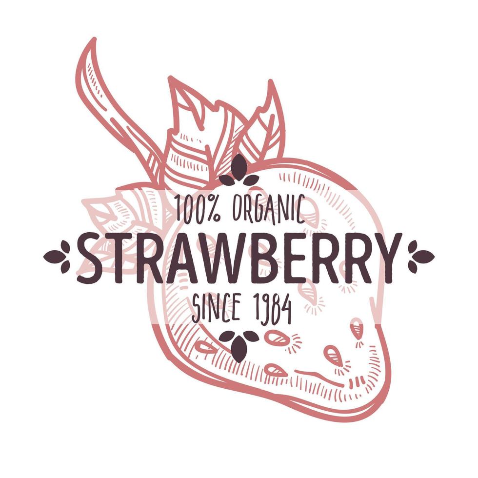 Strawberry isolated icon with lettering organic farm food vector
