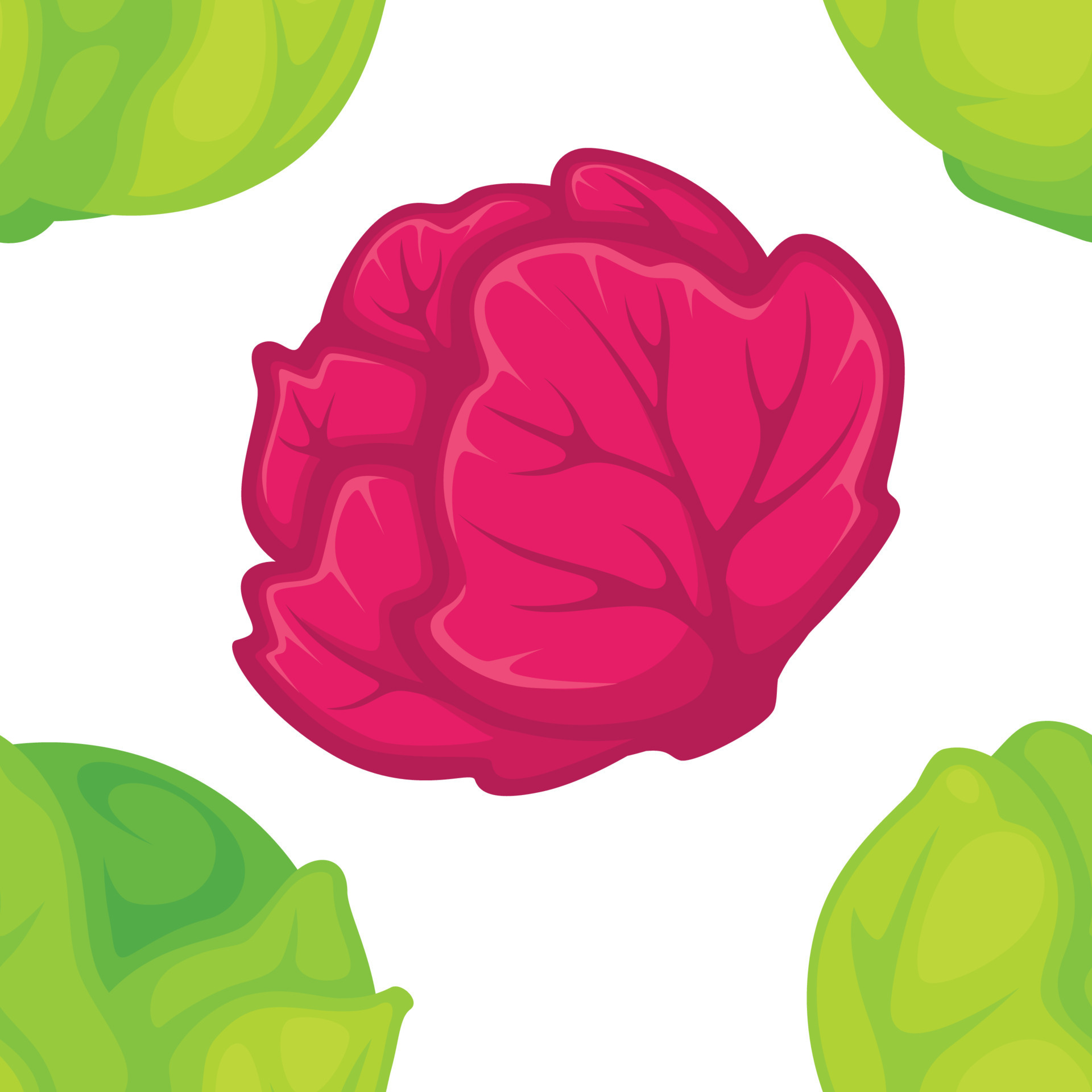 Green and purple cabbage seamless pattern vegetable harvest 19500835