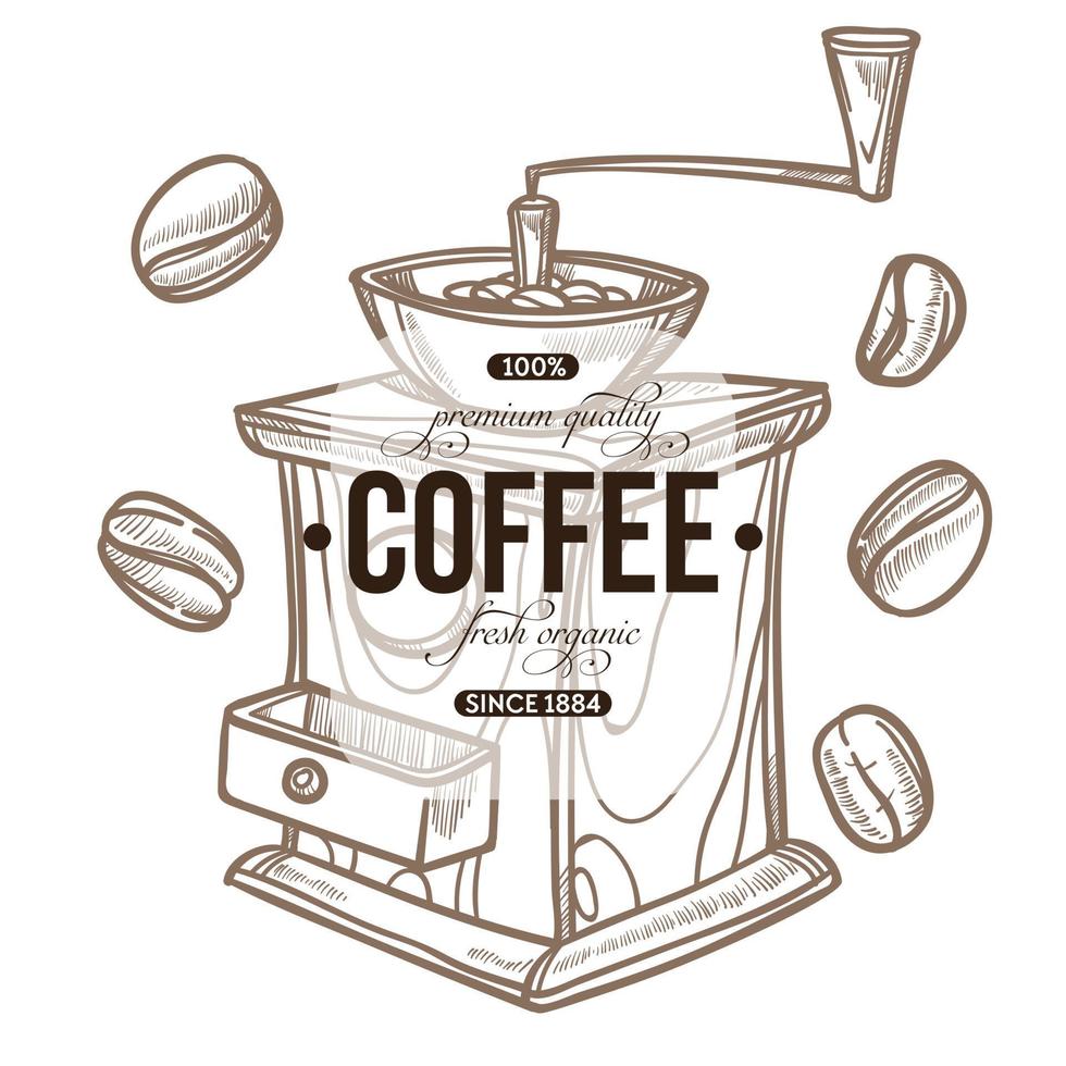 Coffee grinder and beans isolated sketch icon cafe or bar vector