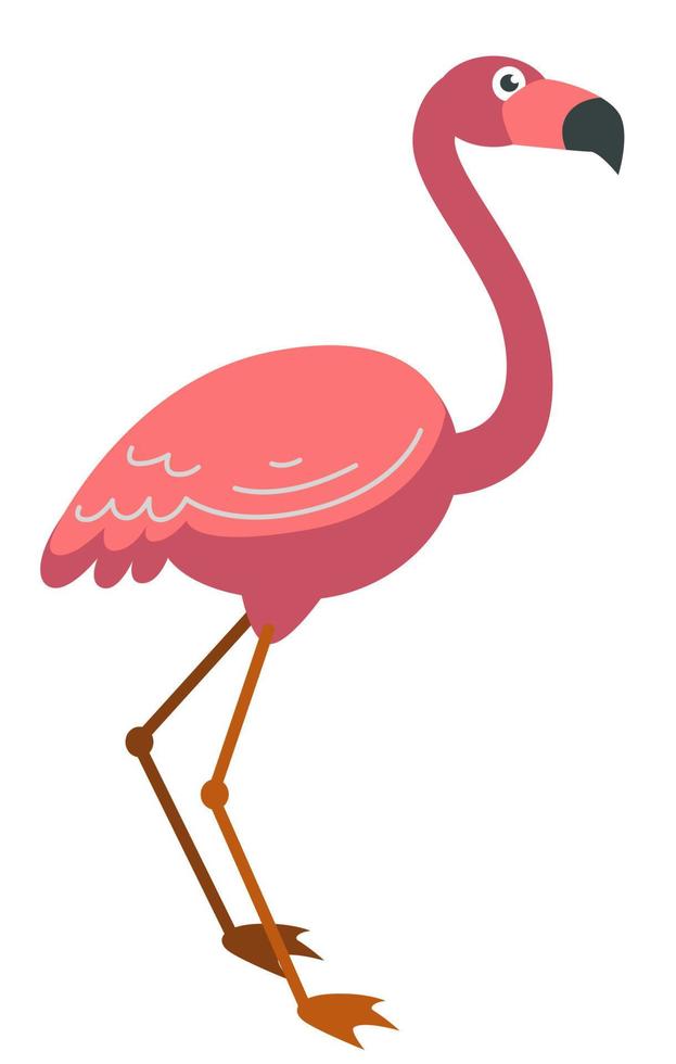 Pink flamingo tropical bird on long leg vector