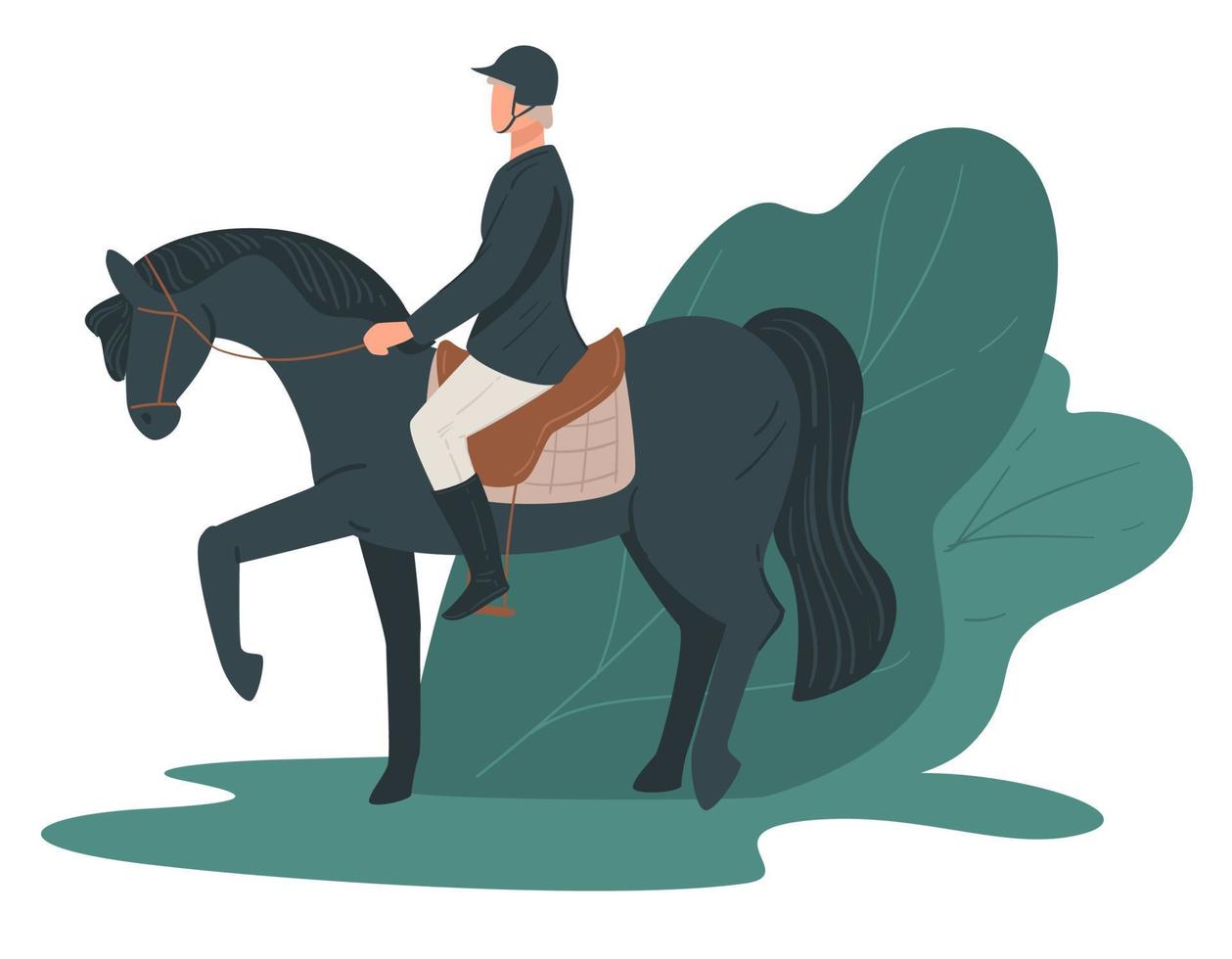 Jockey rising horse, racing hobby, equine leisure vector