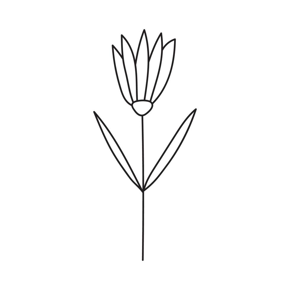 dibujado a mano ilustración de flores vector