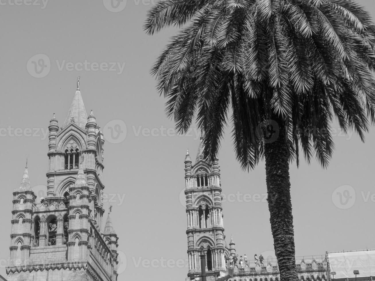 palermo city in italy photo