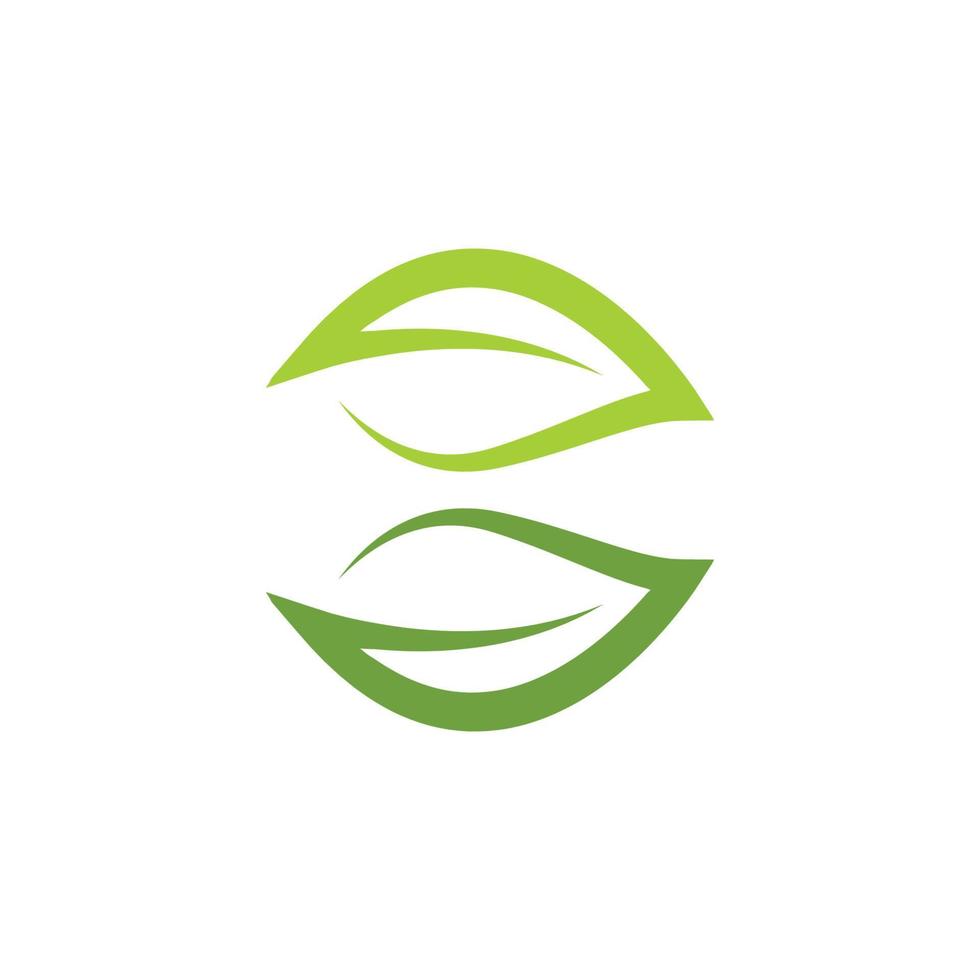 logotipos de la ecología de la hoja del árbol verde vector