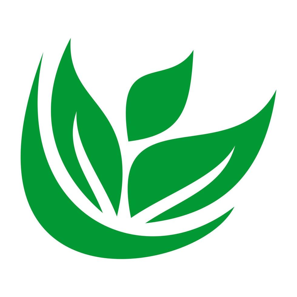 plantilla de logotipo de hoja de naturaleza verde. vector