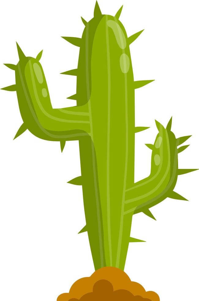 cactus en el desierto. gran planta mexicana. suculenta verde. elemento del paisaje de verano tropical del sur. ilustración de dibujos animados plana vector