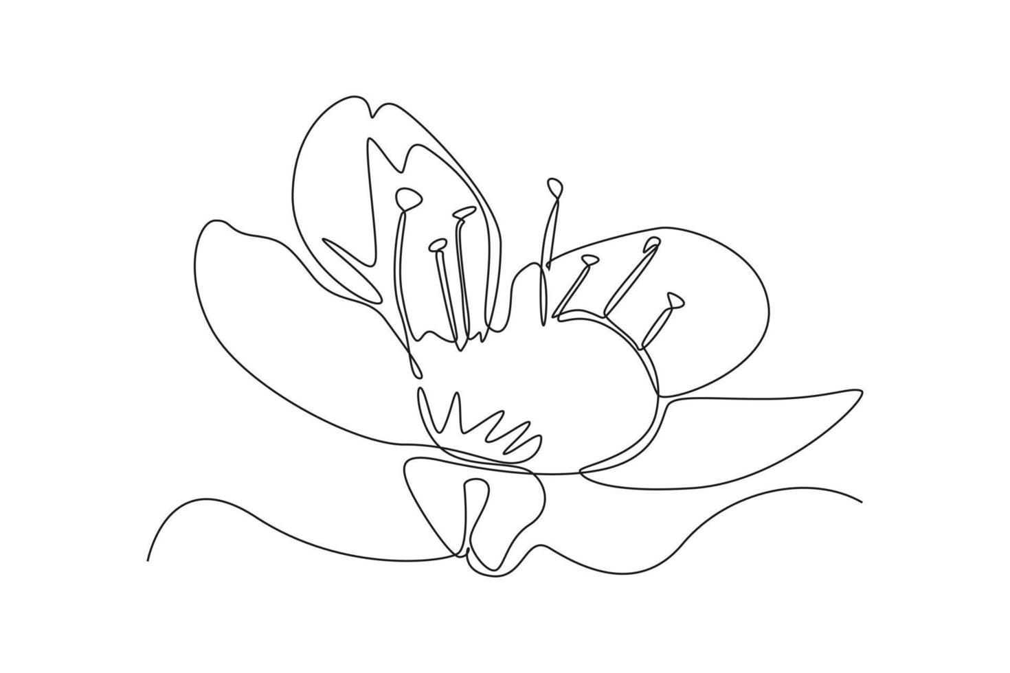 Single one line drawing Flower blossom Sakura. Cherry blossom concept. Continuous line draw design graphic vector illustration.