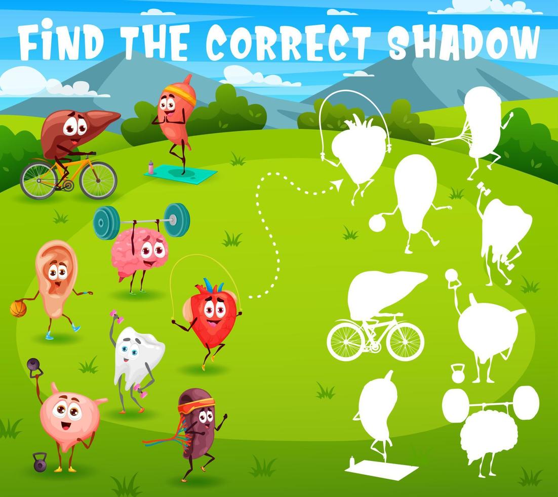 Find correct shadow, cartoon funny human organs vector