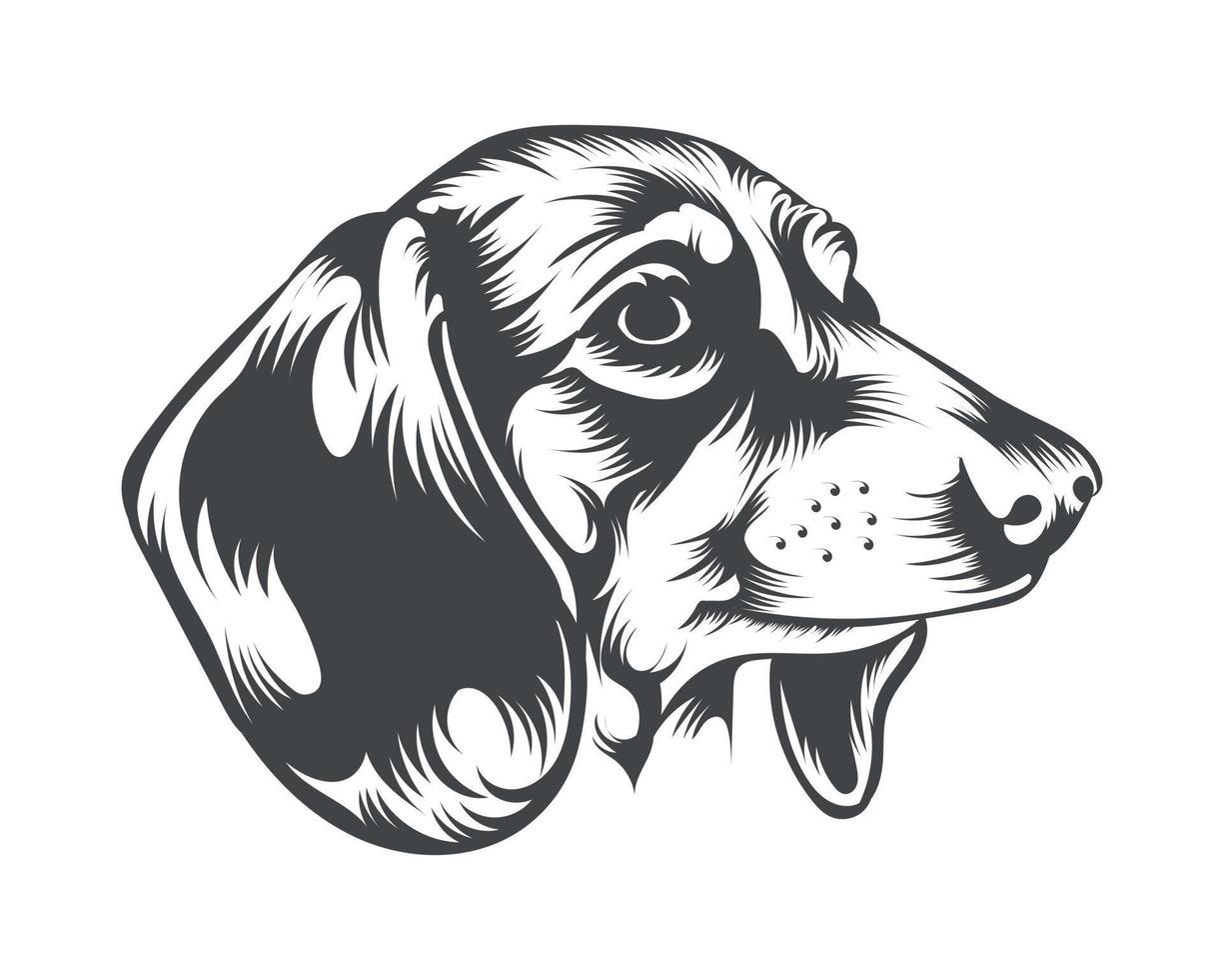 Ilustración de vector de raza de perro salchicha, vector de perro salchicha sobre fondo blanco para camiseta, logotipo y otros