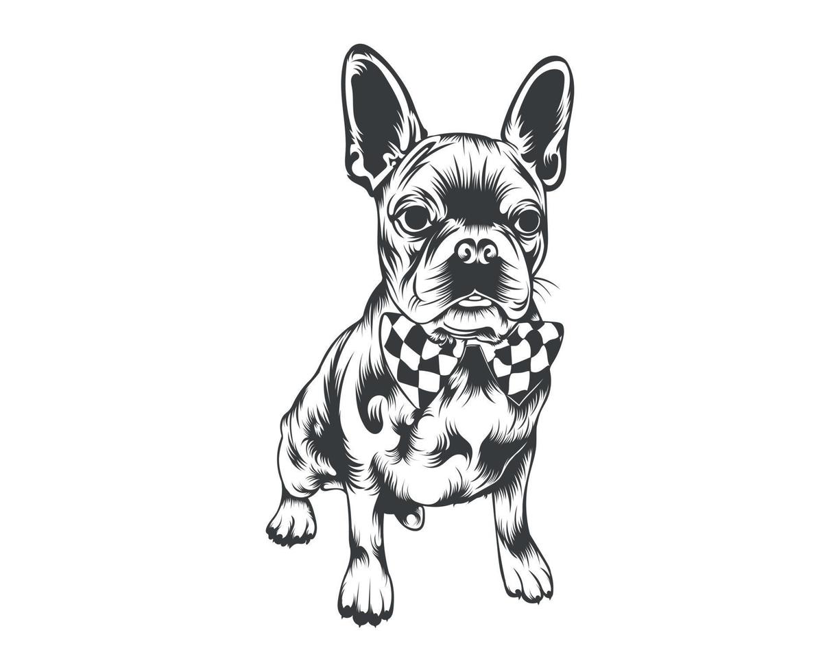 Boston Terrier Breed Vector Illustration, Boston Terrier Dog Vector on White Background for t-shirt, logo, and others