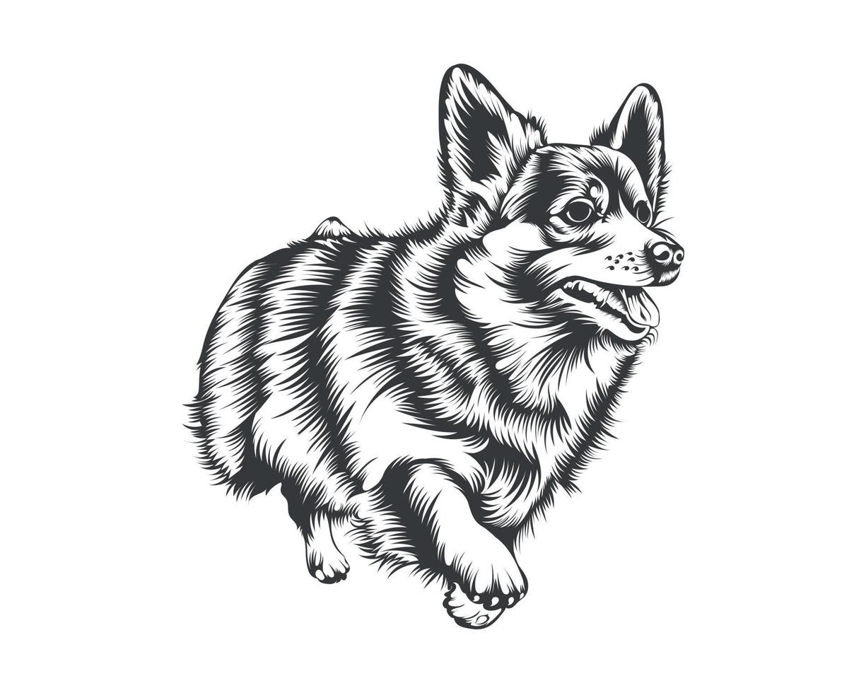 cardigan corgi perro vector ilustración silueta para camiseta, logotipo, insignias sobre fondo blanco