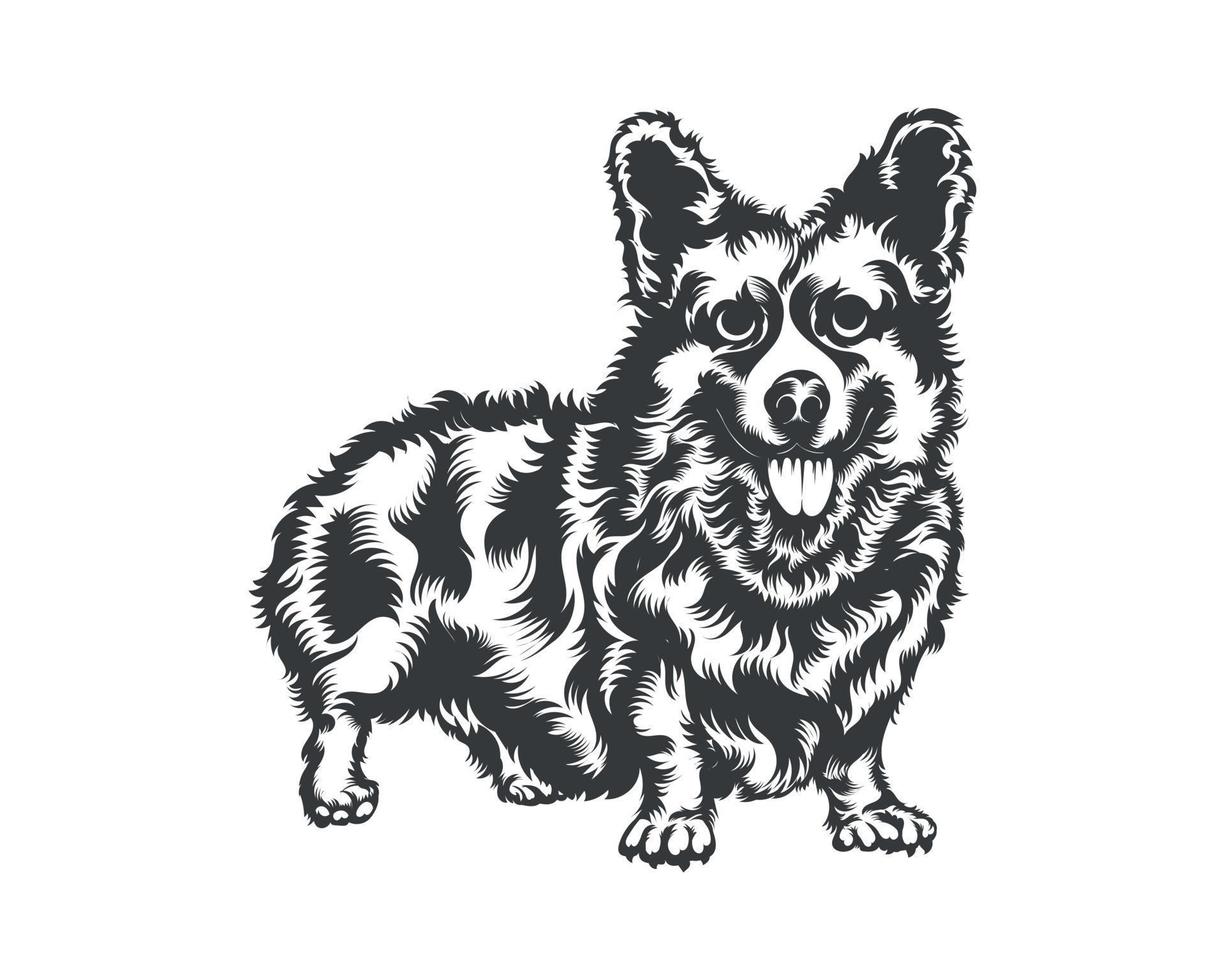 Cardigan Corgi Dog Vector illustration silhouette for t-shirt, logo, badges on White background