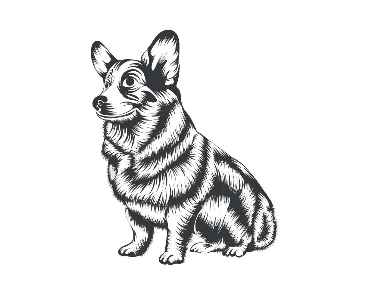 cardigan corgi perro vector ilustración silueta para camiseta, logotipo, insignias sobre fondo blanco