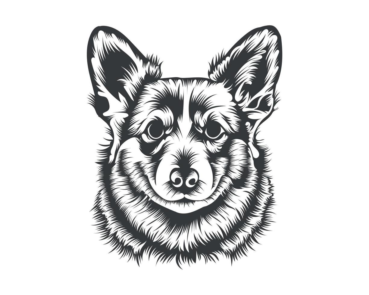 cardigan corgi perro vector ilustración silueta para camiseta, logotipo, insignias sobre fondo blanco