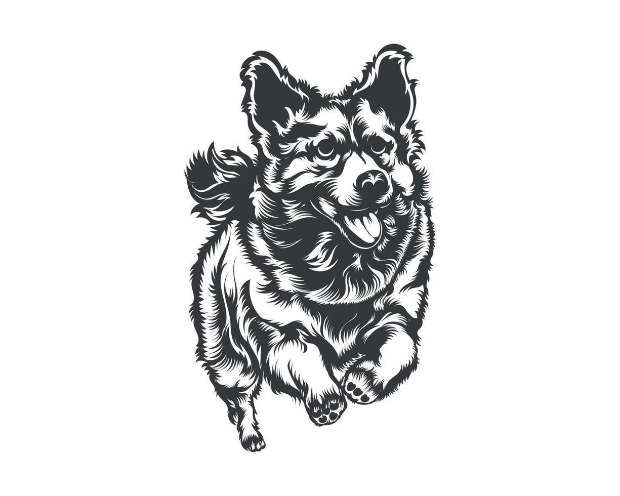 cardigan corgi perro vector ilustración silueta para camiseta, logotipo, insignias sobre fondo blanco