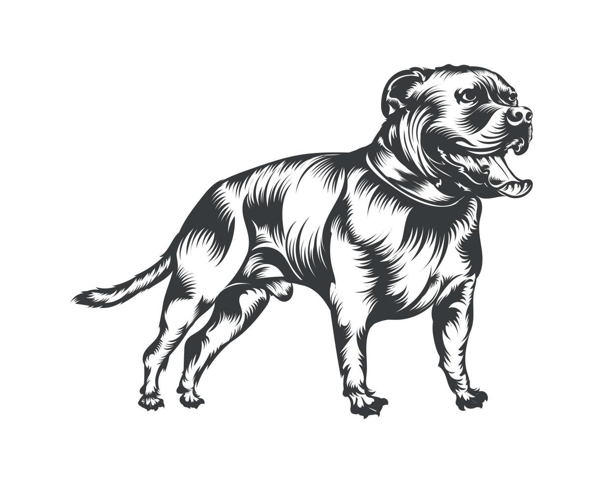 Pitbull Dog Vector
 Pitbull Dog Breed Vector Illustration Pitbull Dog Vector on White