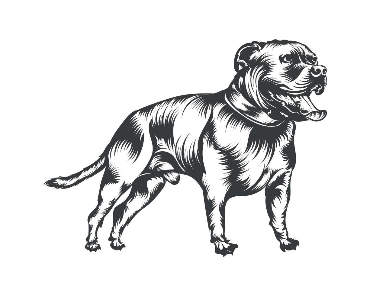 ilustración vectorial de raza de perro pitbull, vector de perro pitbull sobre fondo blanco para camiseta, logotipo y otros