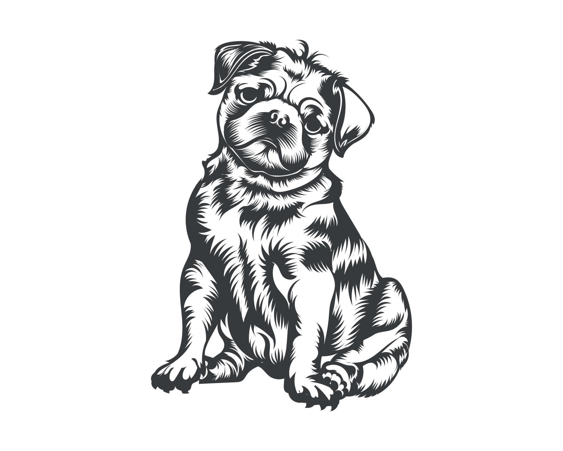 Pug Dog Breed Vector Illustration, Pug Dog Vector on White Background