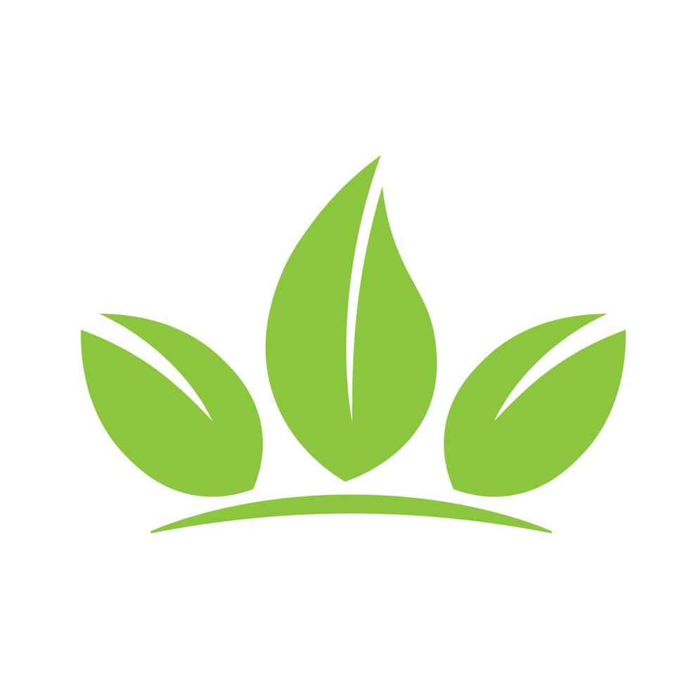Eco green leaf icon Bio nature green eco symbol for web and business vector