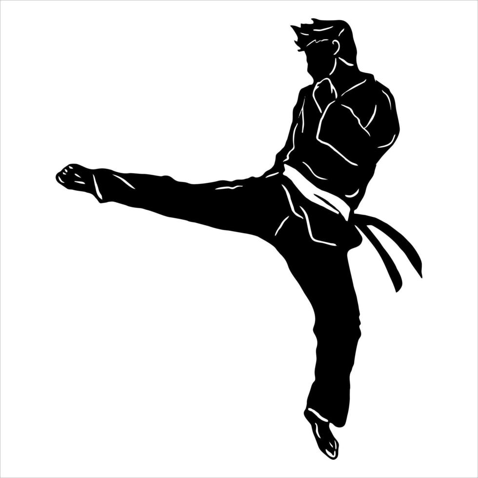 karate kick icon fighter vector