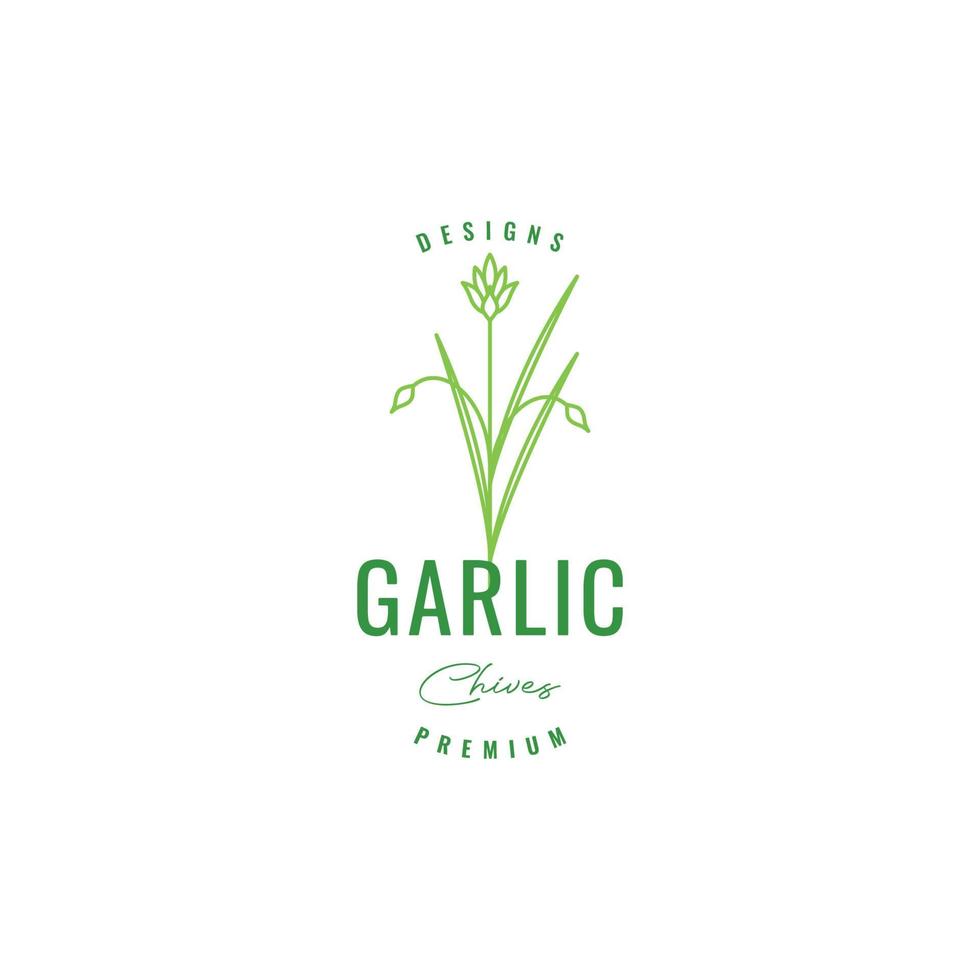 garlic leaves green cooking food tasty spice hipster logo design vector icon illustration template