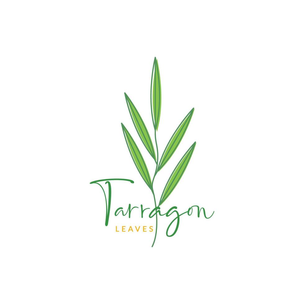 feminine leaves of tarragon spice flavor food cooking taste colorful logo design vector icon illustration template